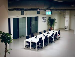 AI生成简历案例：快手运营岗位简历模板